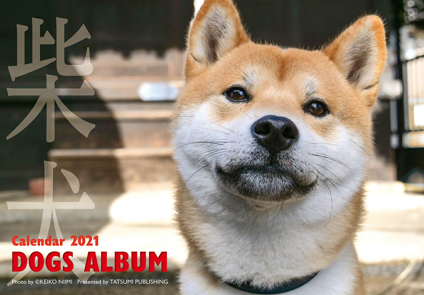 2021カレンダー ドックズアルバム 柴犬
