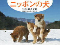 2018年カレンダー ニッポンの犬