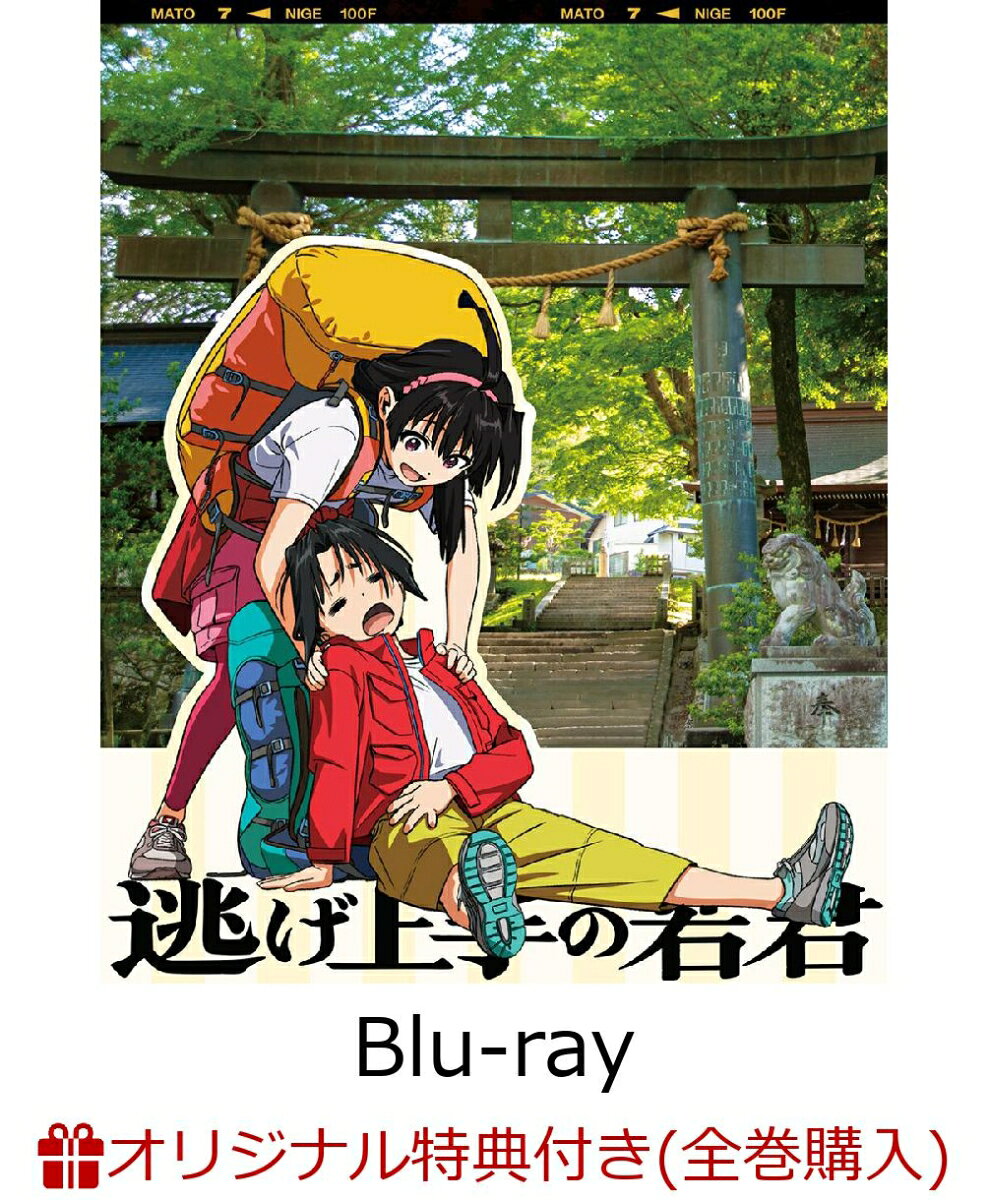 製品画像：16位