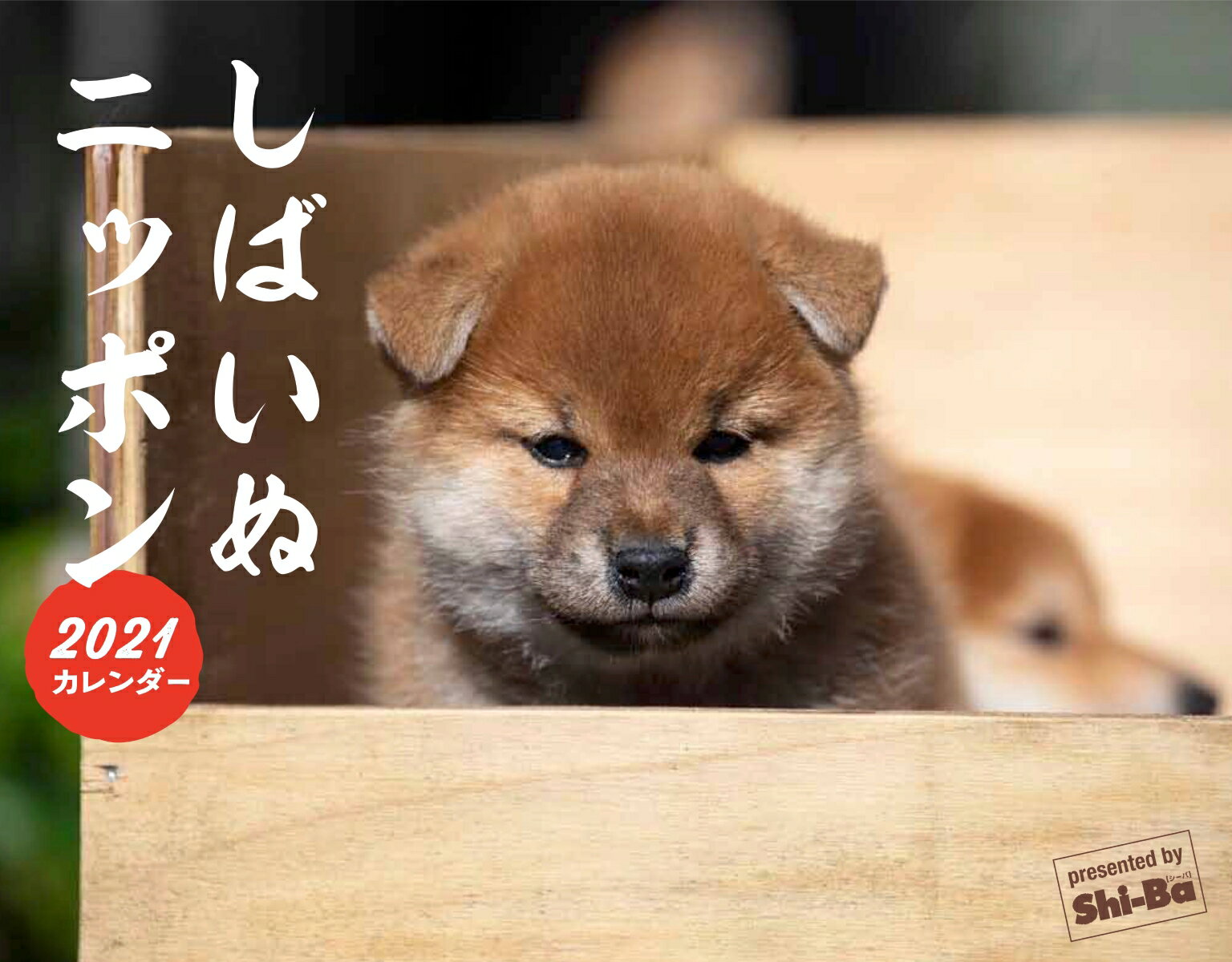 2021カレンダー　しばいぬニッポン