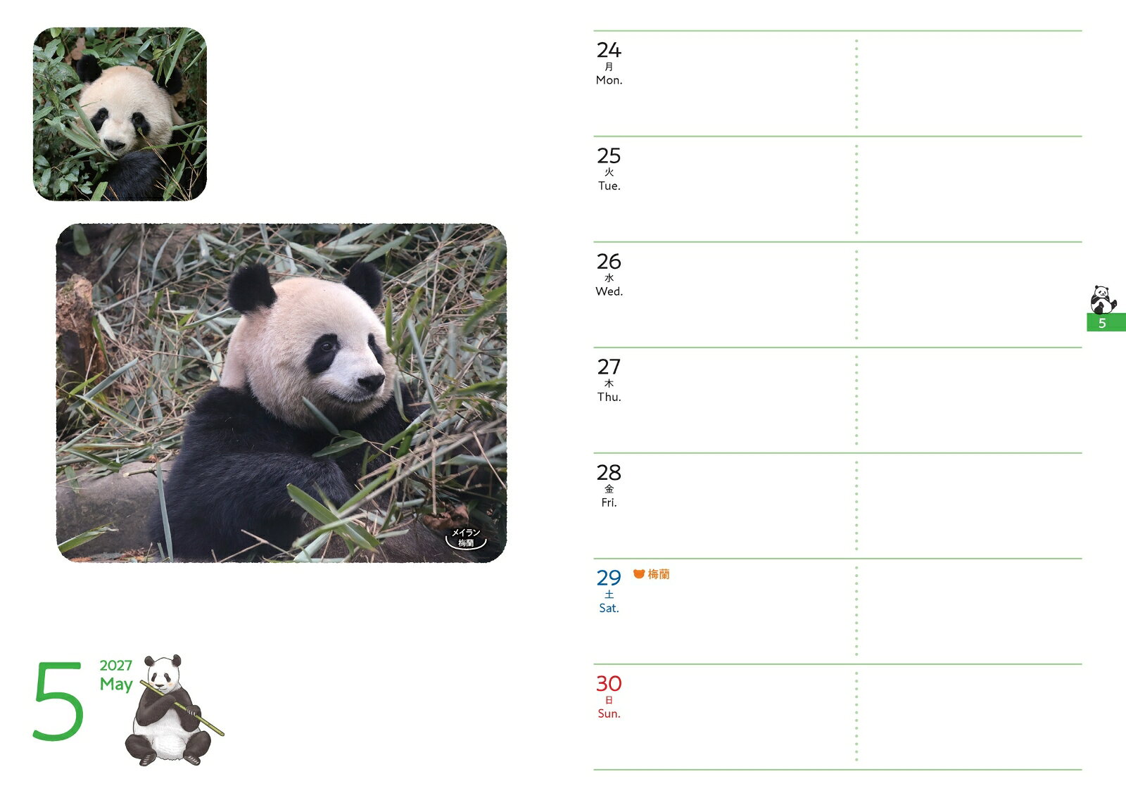 画像3
