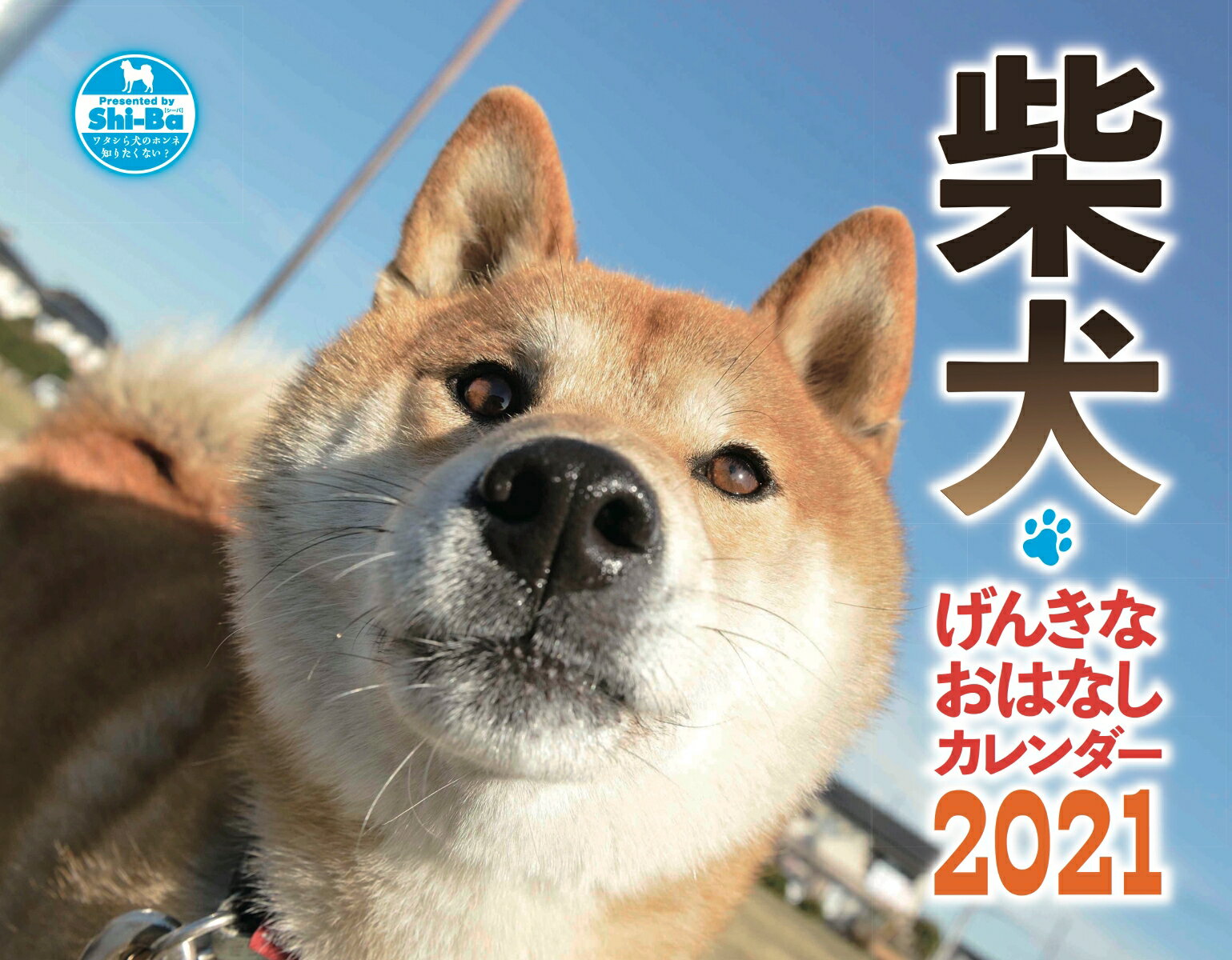 柴犬げんきな おはなしカレンダー2021