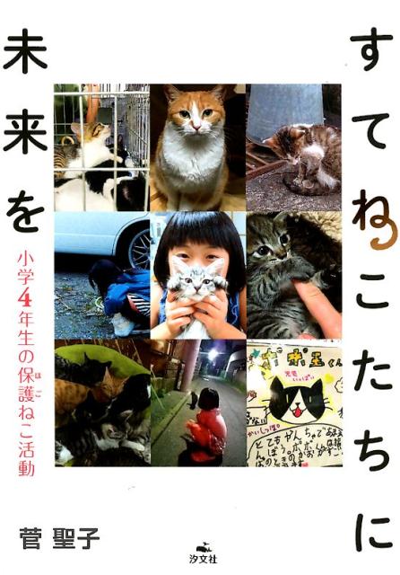 すてねこたちに未来を