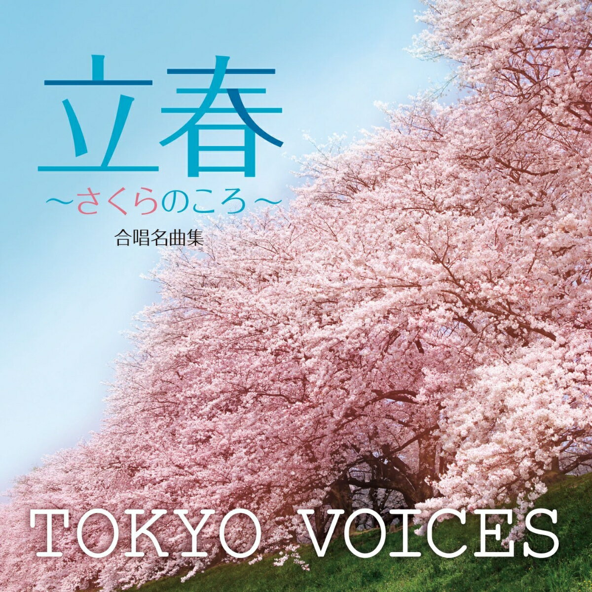 ȏW wt`̂`x [ TOKYO VOICES ]