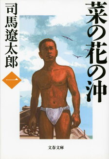 菜の花の沖 一の表紙