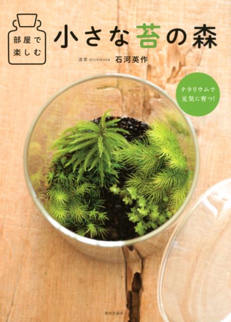 部屋で楽しむ 小さな苔の森