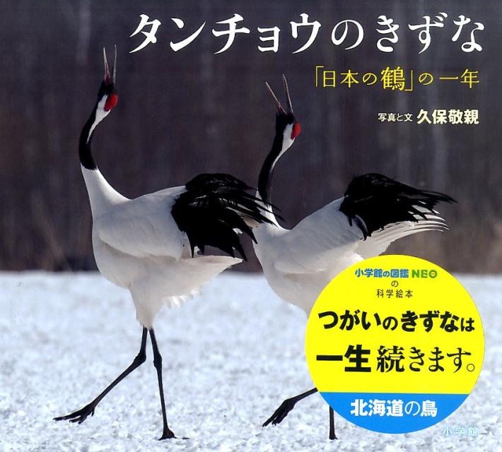 タンチョウのきずな 「日本の鶴」の一年 （小学館の図鑑NEOの科学絵本） 久保 敬親