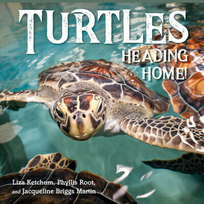 Turtles Heading Home! TURTLES HEADING HOME [ Liza Ketchum ]