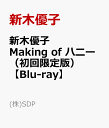 新木優子『Making of ハニー』（初回限定版）【Blu-ray】 [ 新木