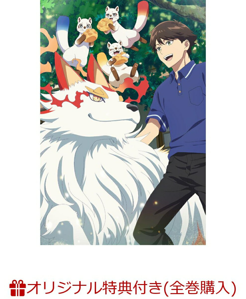 【楽天ブックス限定全巻購入特典+先着特典】神の庭付き楠木邸 DVD BOX 上巻(アニメ描き下ろしイラスト使用A5キャラファイングラフ+原作イラスト・ox描き下ろしA3クリアポスター)