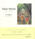 中川　貴文 （有）玲風書房バーゲン本,バーゲンブック,送料無料,半額,50%OFF, Dear　World ナカガワ　タカフミ 予約締切日：2019年12月20日 ページ数：39p サイズ：絵本 ISBN：4528189635876 本 絵本・児童書・図鑑 絵本 絵本(日本） バーゲン本 ホビー・スポーツ・美術