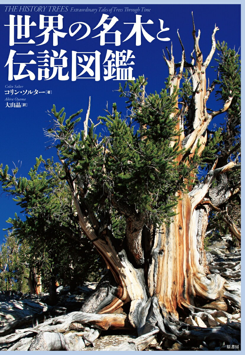 世界の名木と伝説図鑑