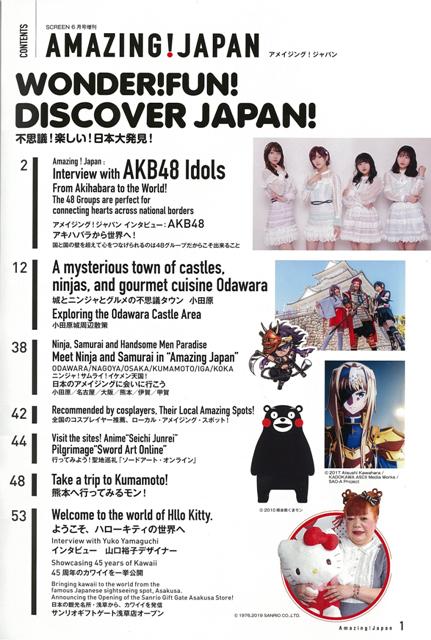 【バーゲン本】Amazing! Japan [...の紹介画像3