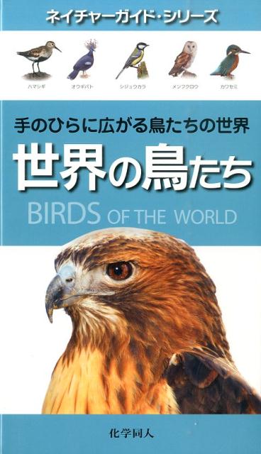 世界の鳥たち