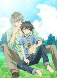 SUPER LOVERS 第3巻【Blu-ray】 [ 皆川純子 ]