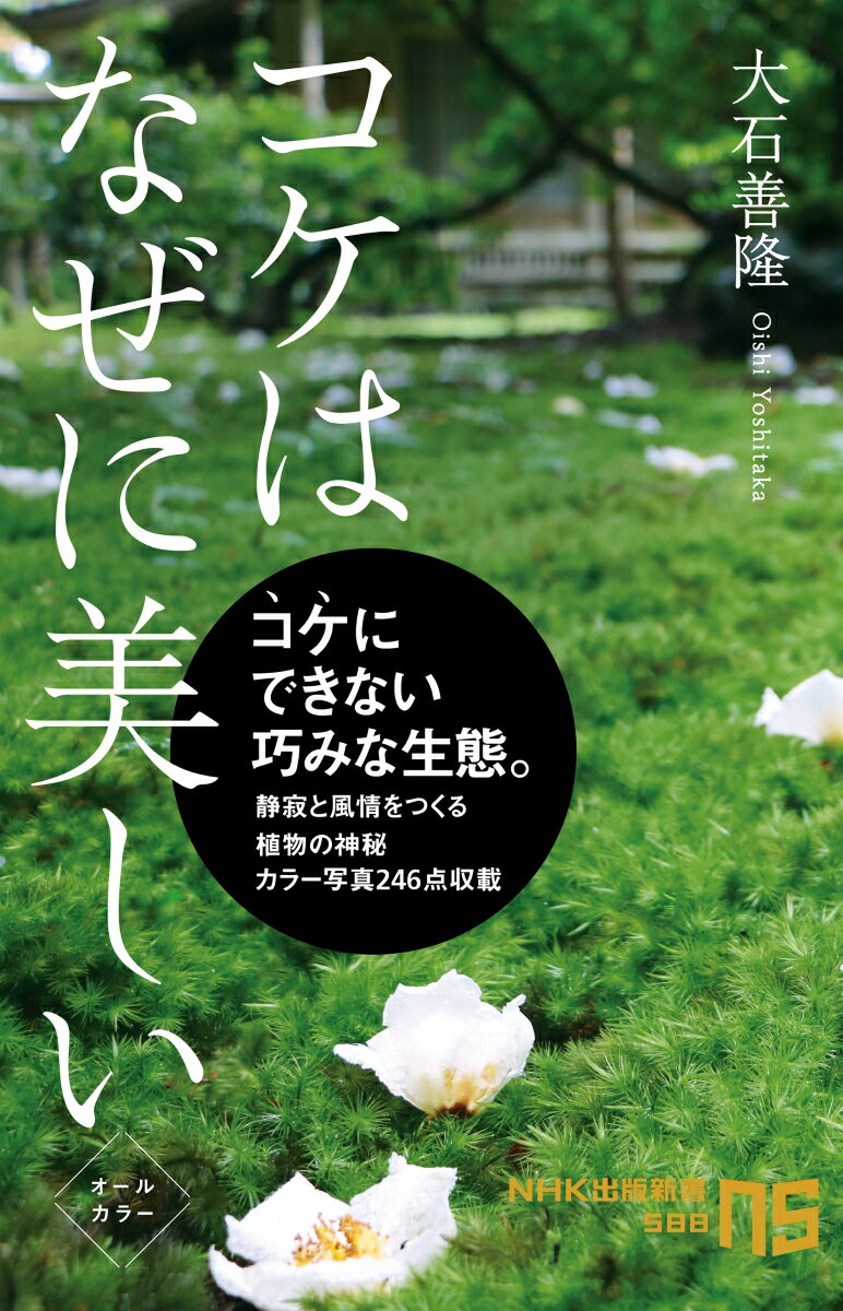 初期の陸上植物の面影を残す植物、コケ。花を咲かせず地味な存在と思われがちだが、その清楚でみずみずしい姿は、「わび・さび」に代表される日本の美意識に深く関係し、生き方に目を凝らせば、環境に応じて変幻自在にスタイルを変える知恵が満載だ。岩や樹木になぜ生える？「苔のむすまで」はどれくらい？コケを愛してやまない気鋭の研究者が、２００点以上のカラー写真とともに語る、小さなコケの壮大な物語。