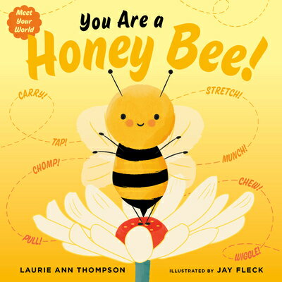 You Are a Honey Bee! BEE （Meet Your World） [ Laurie Ann Thompson ]