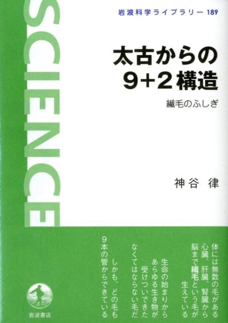 太古からの9＋2構造