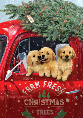 Festive Pups Small Boxed Holiday Cards (20 Cards, 21 Self-Sealing Envelopes) FESTIVE PUPS SMALL BOXED HOLID [ ー ]