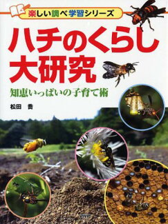 ハチのくらし大研究 知恵いっぱいの子育て術の表紙