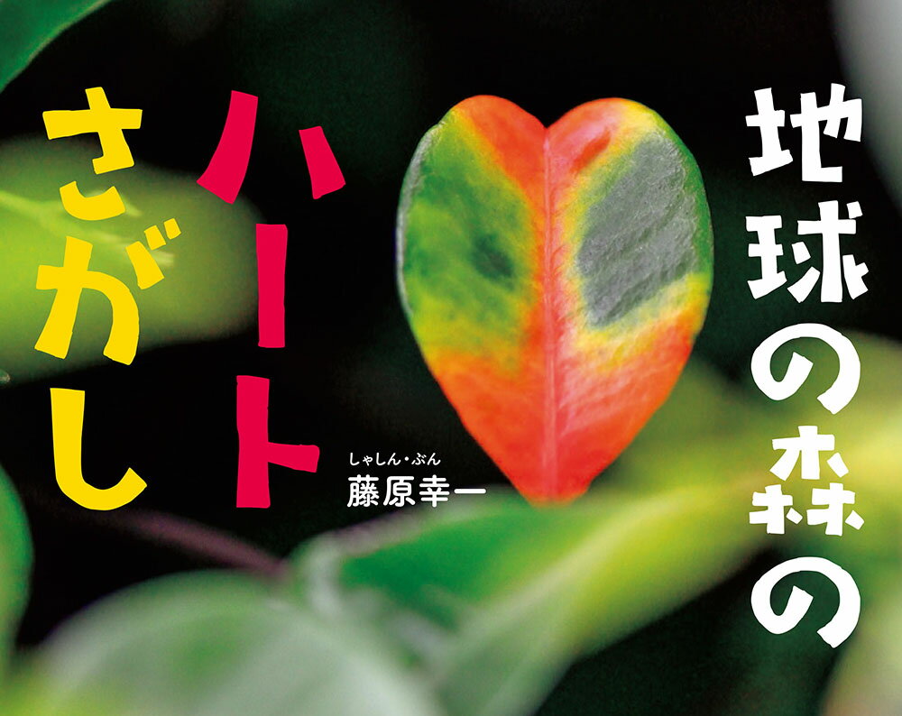 地球の森のハートさがし （ふしぎいっぱい写真絵本　32） [ 藤原　幸一 ]のサムネイル