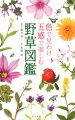 身の周りで見られる代表的な野草５４３種（画像掲載種４６４種）を掲載し、花色で野草の種類を検索できます。野草の種類がわかったら、特徴や名前の由来などを知り、「見る、聴く、かぐ、触る、味わう」五感で観察を楽しみましょう。