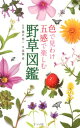 いっしょに探そう野山の花たち 花色と形でわかる野草図鑑 [ 馬場多久男 ]