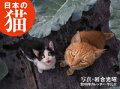 2019年カレンダー 日本の猫