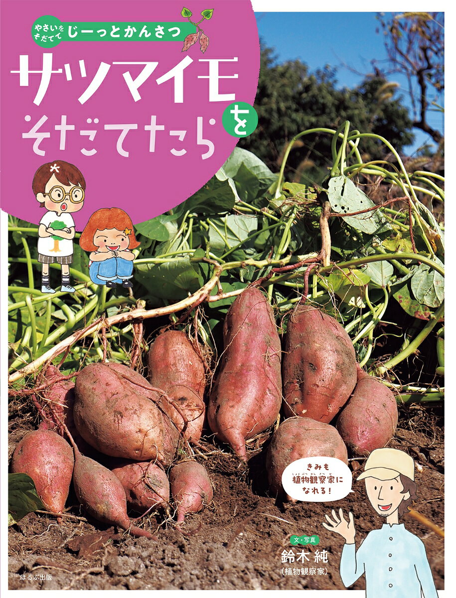 サツマイモをそだてたら （やさいをそだててじーっとかんさつ） [ 鈴木 純 ]