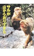サルが山からおりてきた