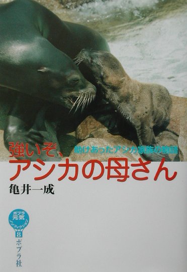 強いぞ、アシカの母さん