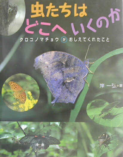 虫たちはどこへいくのか