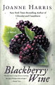 From the author of "Chocolat" comes an intoxicating tale of love lost and found, set in a small French village. As a boy Jay spent summers in Europe hanging out with his friend Joe and his homemade wines. Now a young man, Jay returns to France to recapture some of the magic of his lost youth.