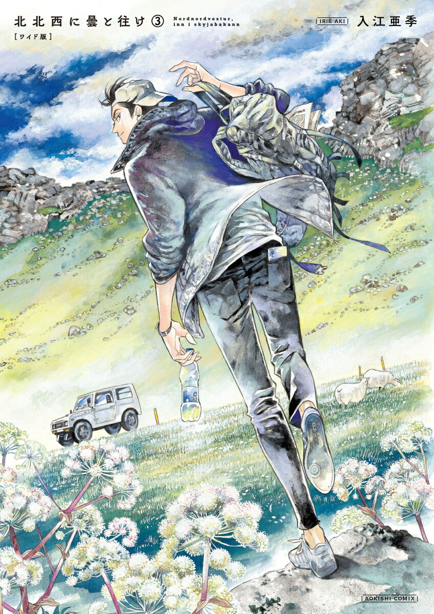 北北西に曇と往け＜ワイド版＞ 3