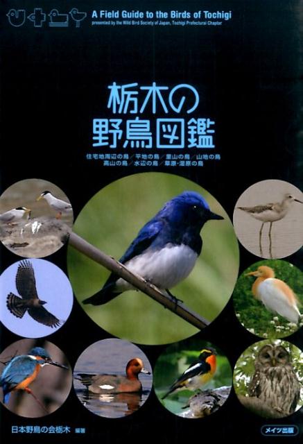 栃木の野鳥図鑑 住宅地周辺の鳥／平地の鳥／里山の鳥／山地の鳥／高山 日本野鳥の会