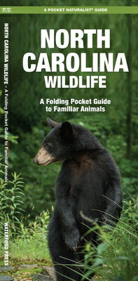 Maine Wildlife: A Folding Pocket Guide to Famili