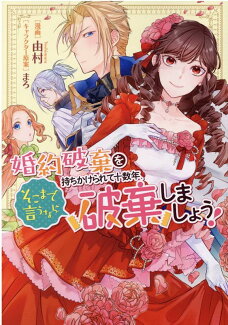 婚約破棄を持ちかけられて十数年、そこまで言うなら破棄しましょう!の表紙