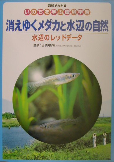 消えゆくメダカと水辺の自然