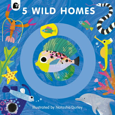 5 Wild Homes 5 WILD HOMES （5 Wild...） [ Natasha Durley ]
