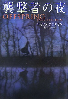 襲撃者の夜の表紙