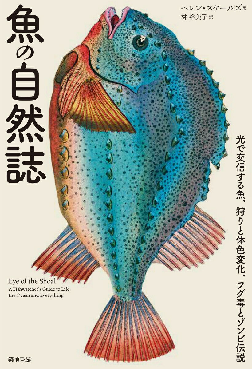 魚の自然誌 光で交信する魚、狩りと体色変化、フグ毒とゾンビ伝説 [ ヘレン・スケールズ ]