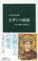 アジアとヨーロッパをつなぐ首都コンスタンティノープルを中心に、千年以上にわたる歴史を刻んだビザンツ帝国。ローマ帝国の継承国家として地中海に覇を唱えた４世紀頃から、イスラム勢力や十字軍に翻弄される時期を経て、近代の到来目前の１４５３年に力尽きた。賢帝や愚帝がめまぐるしく登場し、過酷な政争や熾烈な外交および戦争を展開する一方、多様な文化が花開いた。波瀾万丈の軌跡をたどり、この帝国の内実を描き出す。