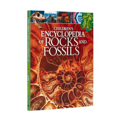 Children 039 s Encyclopedia of Rocks and Fossils CHILDRENS ENCY OF ROCKS FOSS （Arcturus Children 039 s Reference Library） Claudia Martin