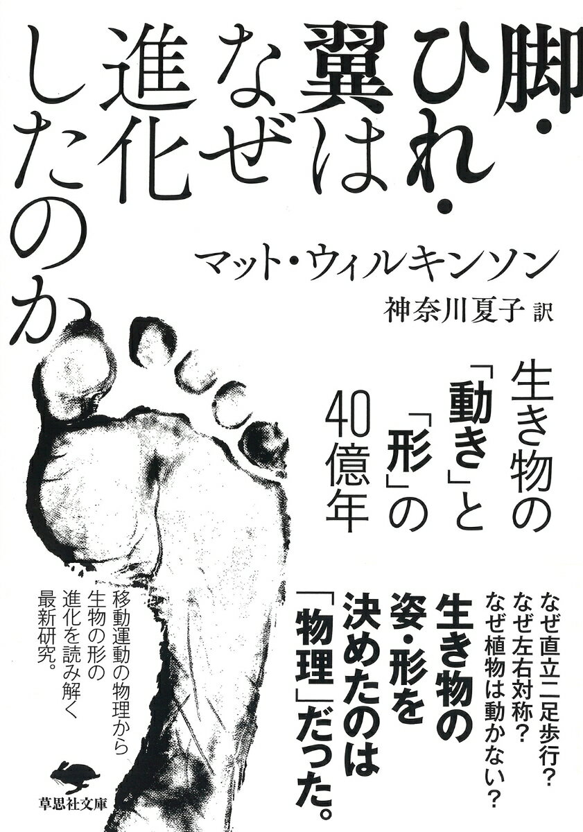 文庫　脚・ひれ・翼はなぜ進化したのか