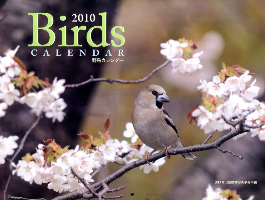 野鳥カレンダー（2010） （［カレンダー］）