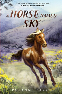 A Horse Named Sky HORSE NAMED SKY （Voice of the Wilderness Novel） [ Rosanne Parry ]