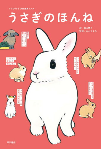 うさぎが活躍する本10選の表紙