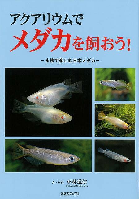 【バーゲン本】アクアリウムでメダカを飼おう！