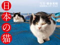 2020年カレンダー　日本の猫
