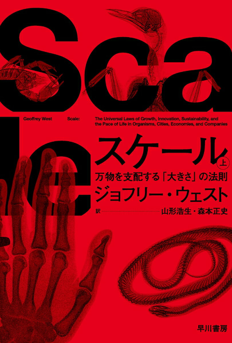 スケール 上 万物を支配する 大きさ の法則 ハヤカワ文庫NF [ ジョフリー・ウェスト ]